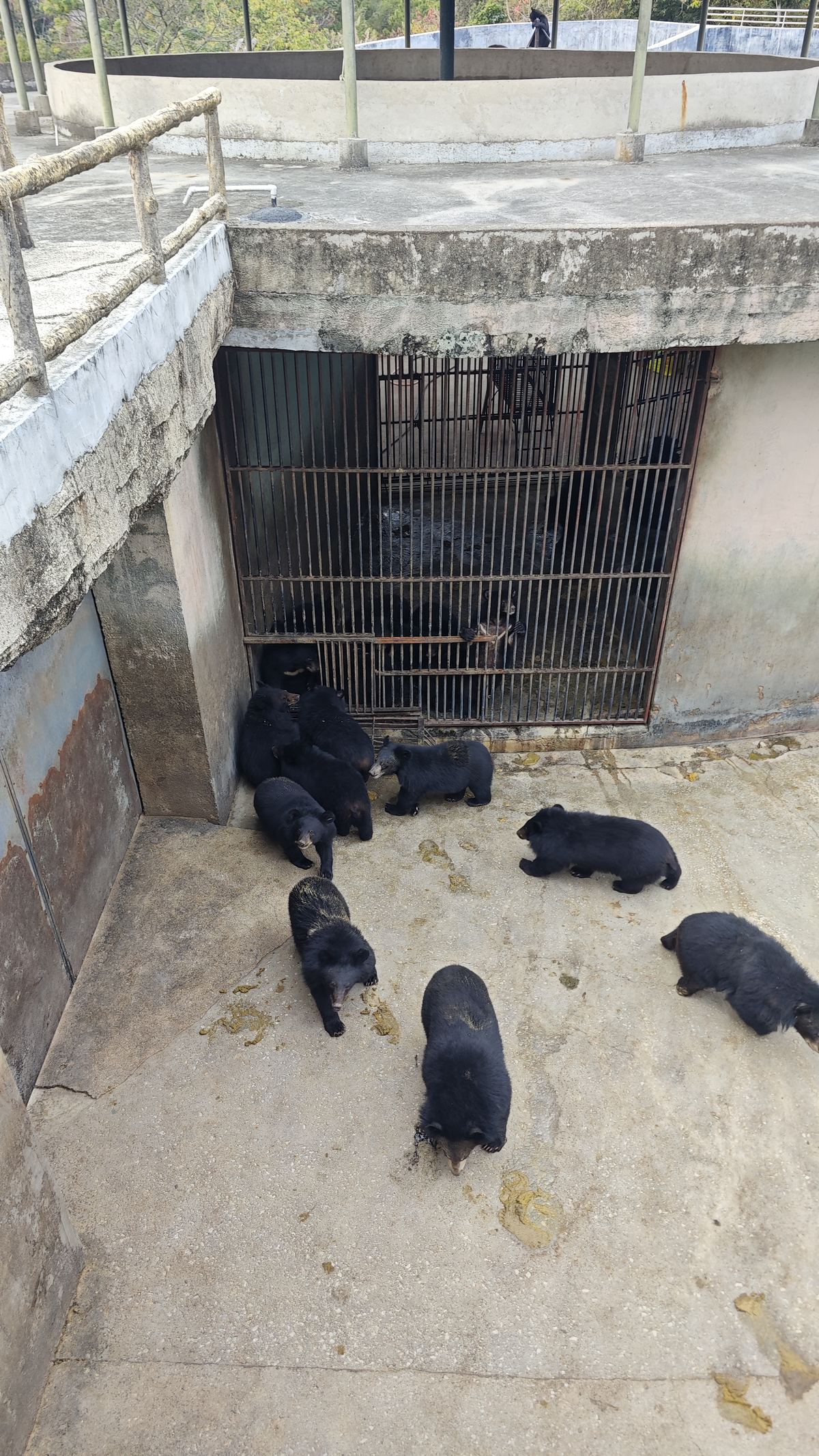 飼育場の囲いと砂利の運動場。